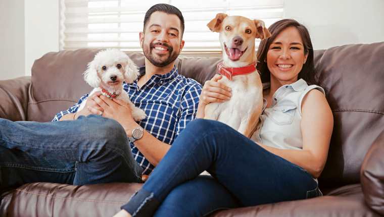 10 Benefits to Have a Dog in the Family